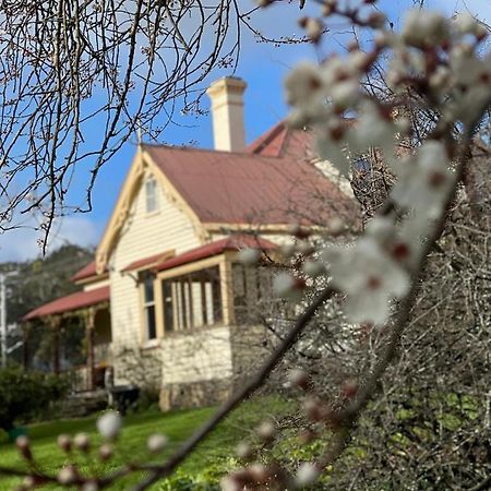 Bed and Breakfast Cambridge House Breakfast & Bed Geeveston Esterno foto