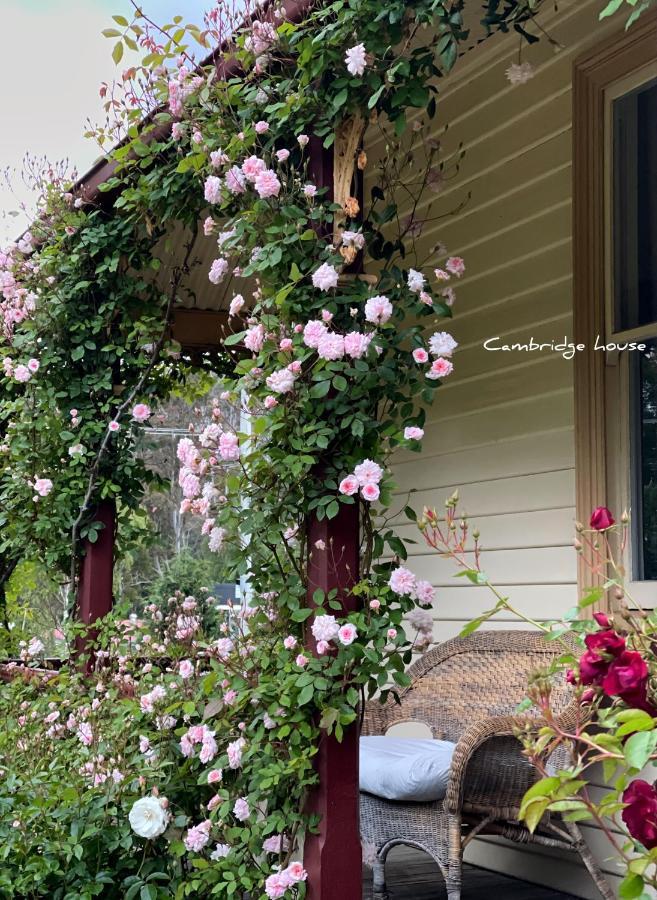 Bed and Breakfast Cambridge House Breakfast & Bed Geeveston Esterno foto