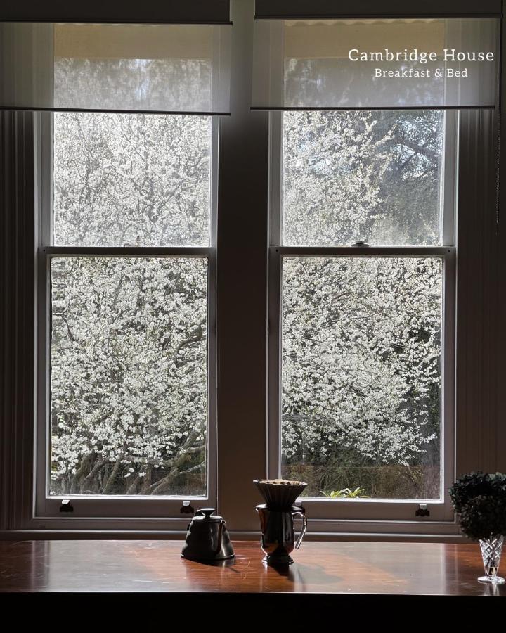 Bed and Breakfast Cambridge House Breakfast & Bed Geeveston Esterno foto