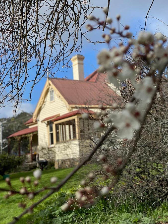 Bed and Breakfast Cambridge House Breakfast & Bed Geeveston Esterno foto