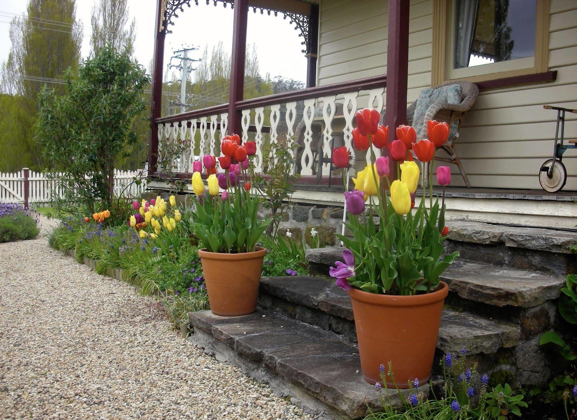 Bed and Breakfast Cambridge House Breakfast & Bed Geeveston Esterno foto